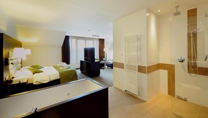 Duplex